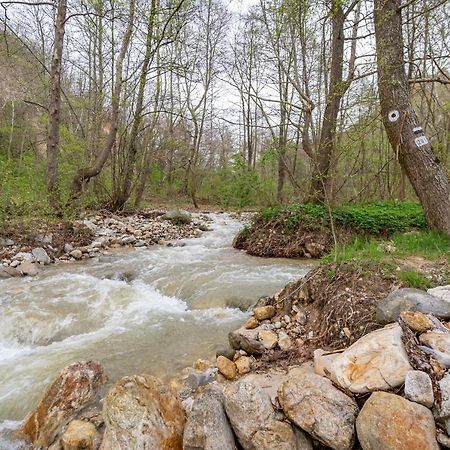 Hotel Rechen Rai Melnik  Dış mekan fotoğraf