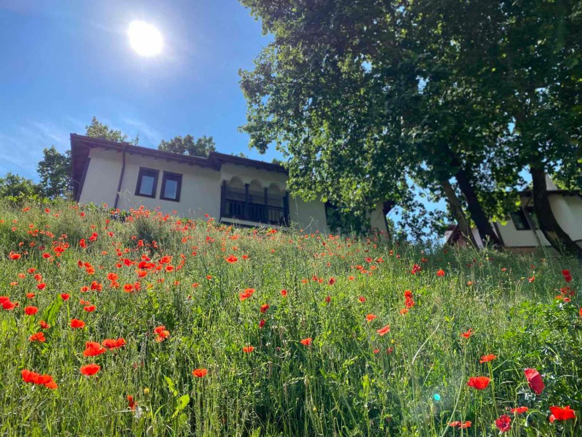 Hotel Rechen Rai Melnik  Dış mekan fotoğraf