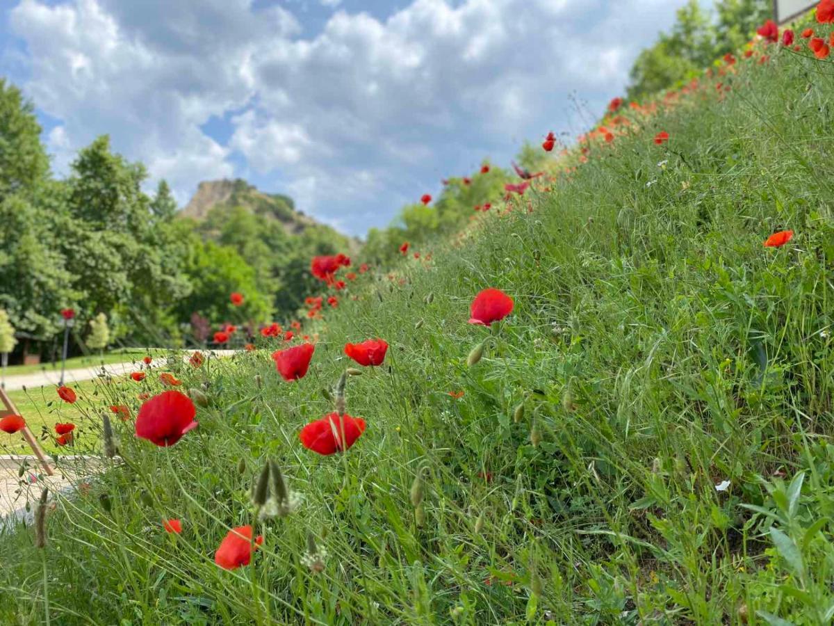Hotel Rechen Rai Melnik  Dış mekan fotoğraf