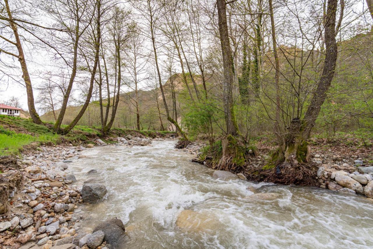 Hotel Rechen Rai Melnik  Dış mekan fotoğraf