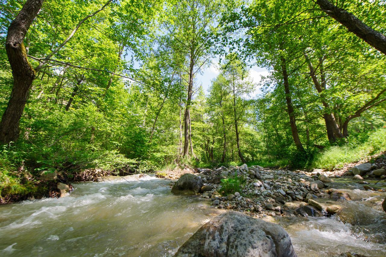 Hotel Rechen Rai Melnik  Dış mekan fotoğraf